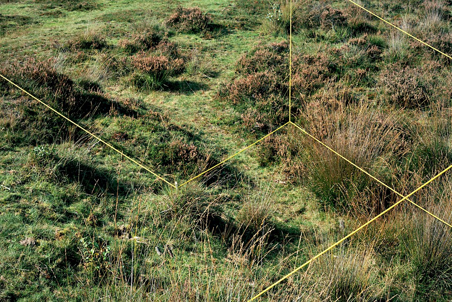 hiryczuk_van_oevelen_field_experiment_ii_2011.jpg