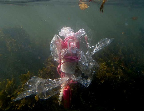 Baltic Sea PlastiqueTuula Närhinen2013