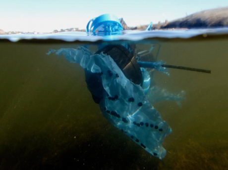 Baltic Sea PlastiqueTuula Närhinen2013